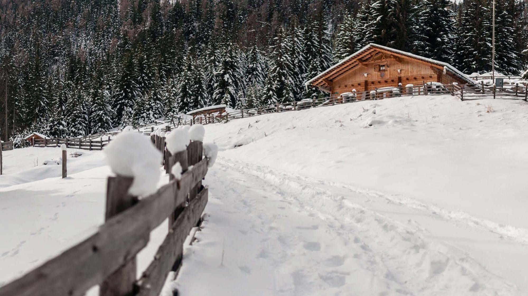 La Casies Mountain Hotel Santa Maddalena in Casies Esterno foto
